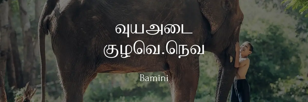 Bamini tamil font free download for laptop